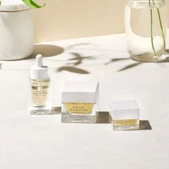 Elizabeth Arden White Tea Skin Replenishing Micro-Gel Cream, 50 Ml -Murad Shop 085805242886 6