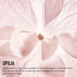 DIOR Capture Totale DreamSkin Ansigtsmaske, 75 Ml 5 DIOR Capture Totale DreamSkin Ansigtsmaske, 75 Ml -Murad Shop 3348901647243 3