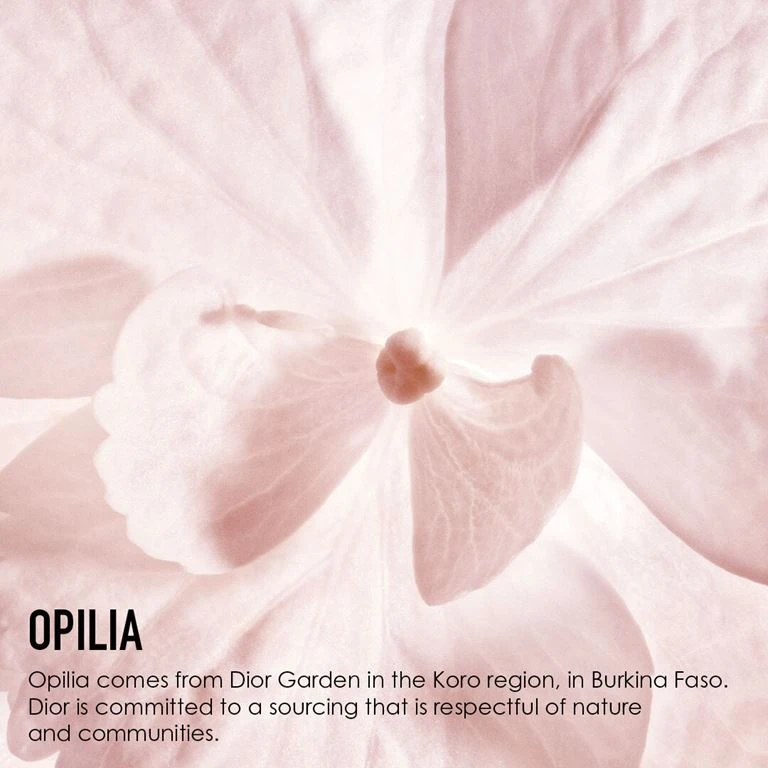 DIOR Capture Totale DreamSkin Ansigtsmaske, 75 Ml 3 DIOR Capture Totale DreamSkin Ansigtsmaske, 75 Ml - Billede 3