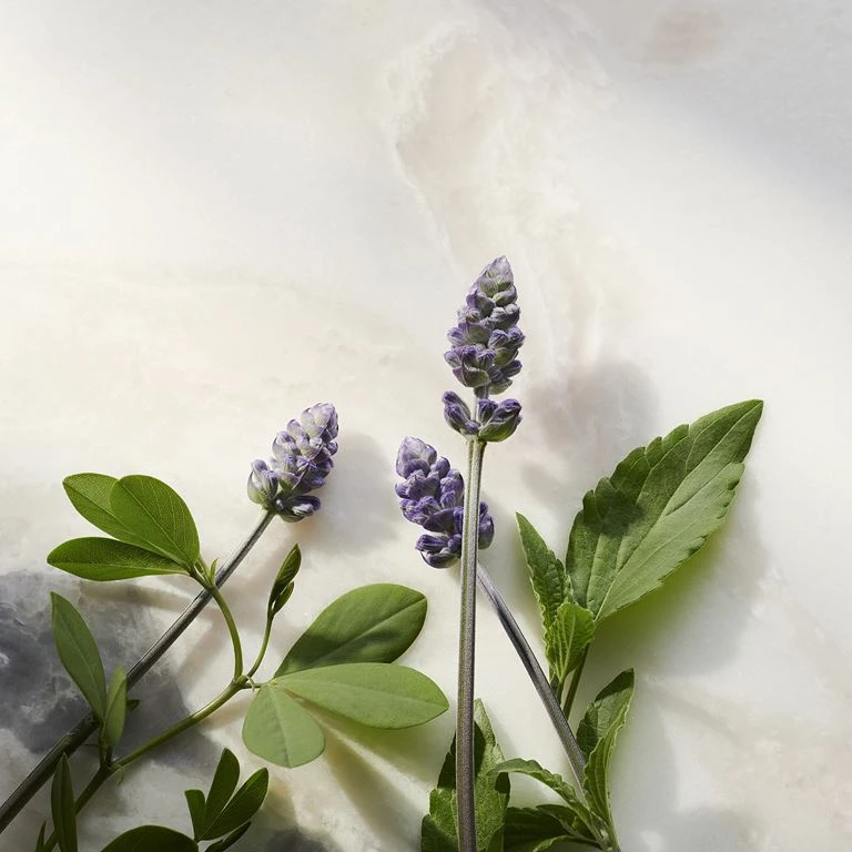 Rituals Glow Anti-Age Refill Dagcreme, The Ritual Of Namaste, 50 Ml 5 Rituals Glow Anti-Age Refill Dagcreme, The Ritual Of Namaste, 50 Ml - Billede 5