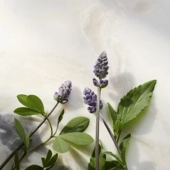 Rituals Glow Anti-Age Natcreme Refill, The Ritual Of Namaste, 50 Ml 13 Rituals Glow Anti-Age Natcreme Refill, The Ritual Of Namaste, 50 Ml -Murad Shop 8719134120332 5