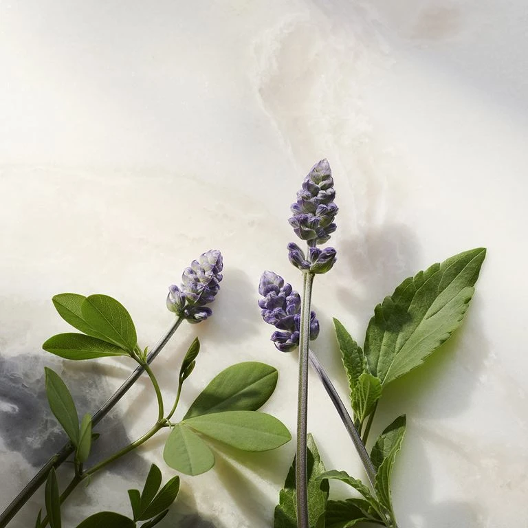 Rituals Glow Anti-Age Natcreme Refill, The Ritual Of Namaste, 50 Ml 5 Rituals Glow Anti-Age Natcreme Refill, The Ritual Of Namaste, 50 Ml - Billede 5