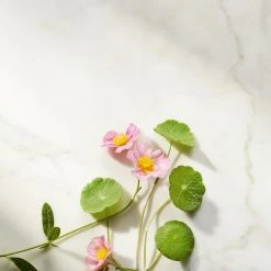 Rituals Ageless Firming Dagcreme, The Ritual Of Namaste, 50 Ml -Murad Shop 8719134120363 5