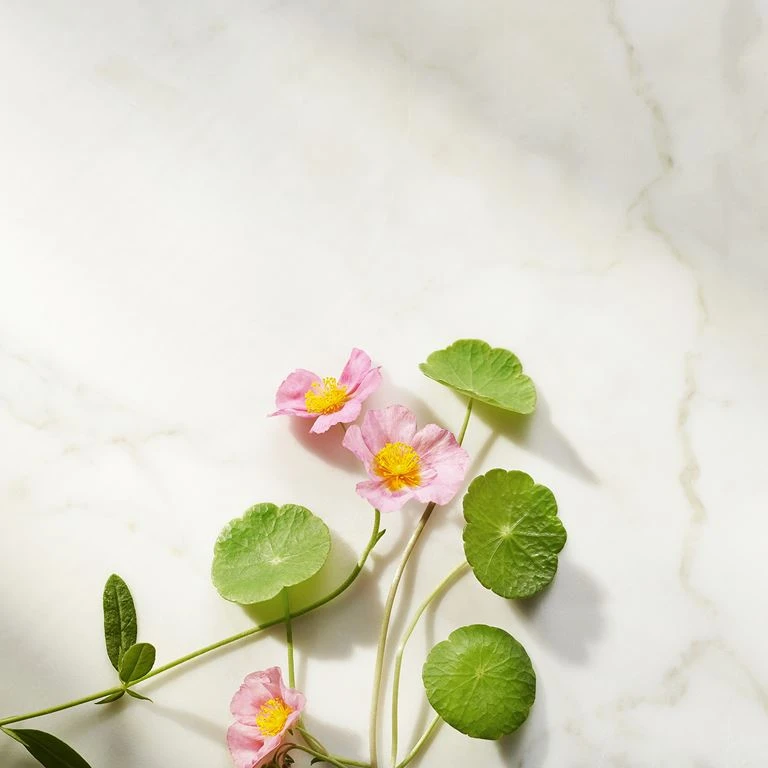 Rituals Ageless Firming Day Cream Refill, The Ritual Of Namaste, 50 Ml 5 Rituals Ageless Firming Day Cream Refill, The Ritual Of Namaste, 50 Ml - Billede 5