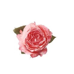 Rituals M'Gouna Body Cream, 220 Ml -Murad Shop 8719134148305 3