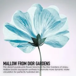 DIOR Hydra Life Sorbet Water Facial Toner, 175 Ml -Murad Shop dior hydra life sorbet water facial toner 2