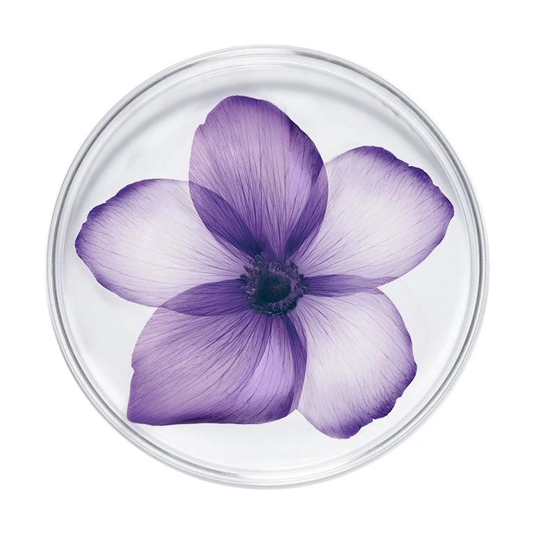 Lancome Rénergie Multi Lift, Dry Skin, 50 Ml 2 Lancome Rénergie Multi Lift, Dry Skin, 50 Ml - Billede 2