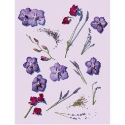 Ole Henriksen Transform Wrinkle Blur Eye Gel Cream, 18 Ml 6 Ole Henriksen Transform Wrinkle Blur Eye Gel Cream, 18 Ml -Murad Shop ole henriksen transform wrinkle blur eye gel cream 2